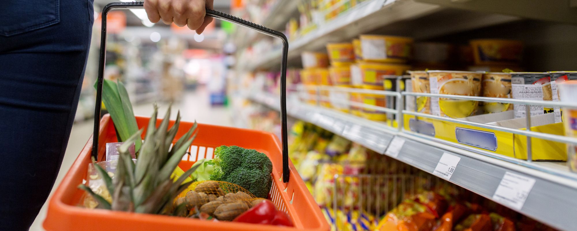 Etude Alimentaire Le Mans