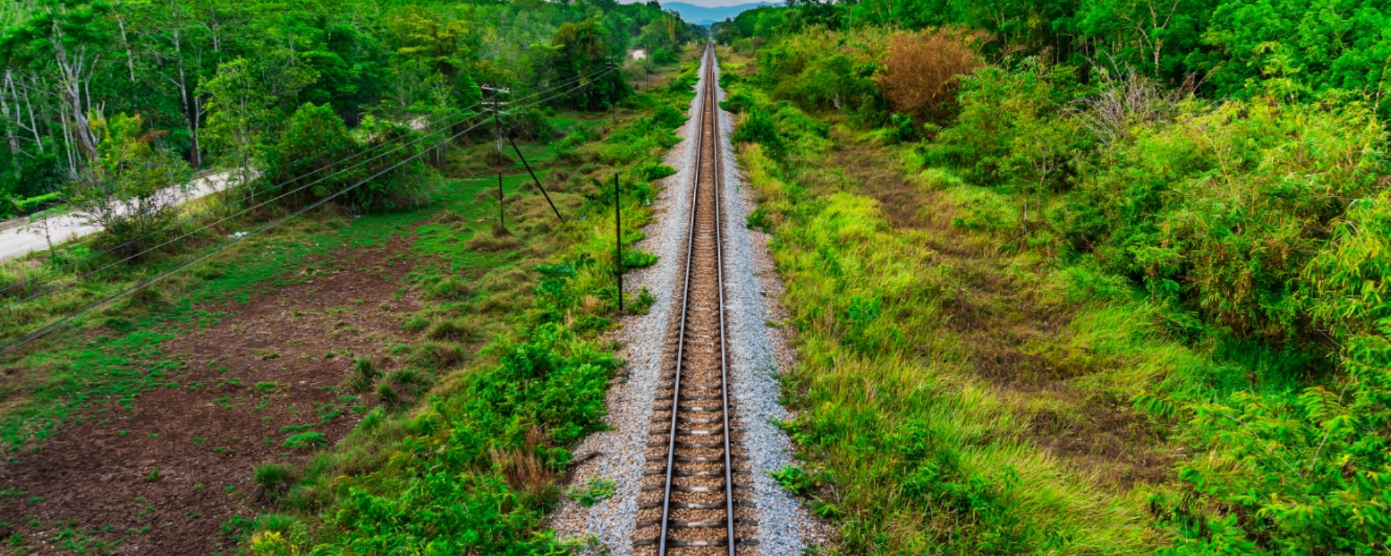 tgv écologie