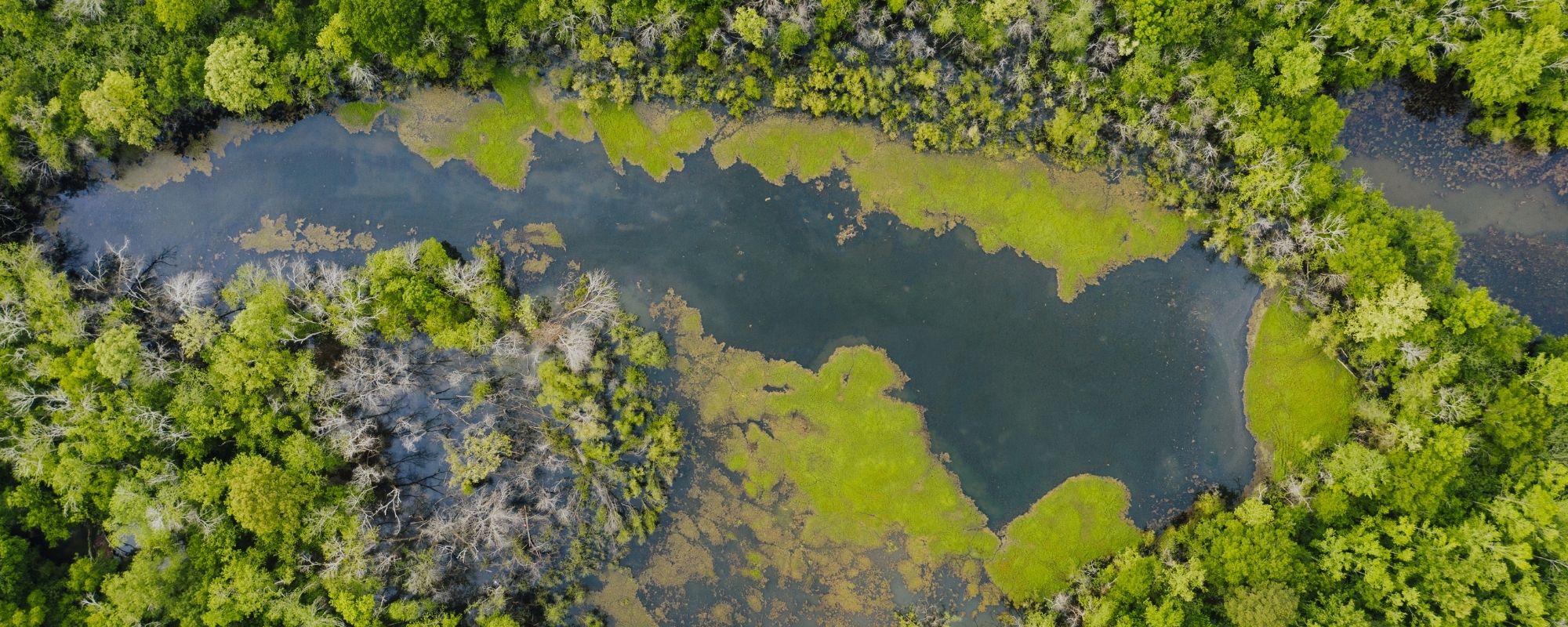 étude rémunérée sur le climat